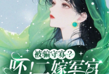 被骗守寡?呸!二嫁军官生多胎这本小说怎么样?免费在线阅读试试-推书机