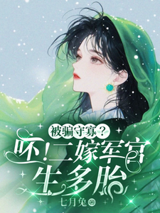 被骗守寡？呸！二嫁军官生多胎这本小说怎么样？免费在线阅读试试