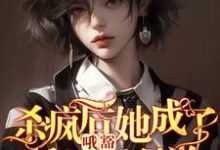 叶邢舒司度小说完整版《哦豁!杀疯后她成了反派黑月光!》免费阅读-推书机
