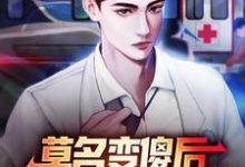 莫名变傻后，我成了乡村团宠小说最新章节在哪里可以读到？-推书机