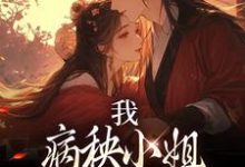 免费在线阅读我,病秧小姐,入宫就获圣宠小说的正规网站有哪些?-推书机