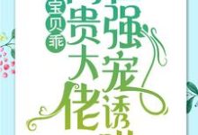 宝贝乖:高贵大佬在强宠诱哄完整版小说,宝贝乖:高贵大佬在强宠诱哄最新章节-推书机