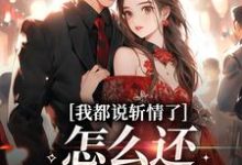 周辞钟筱完整版小说《我都说斩情了，怎么还让我相亲》免费阅读-推书机