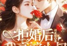 《拒婚后我高嫁小叔，太子爷你哭什么？》全集免费在线阅读（苏婉禾司北琛）-推书机