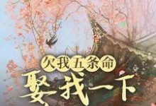欠我五条命,娶我一下怎么了?小说最新章节在哪里可以读到?-推书机