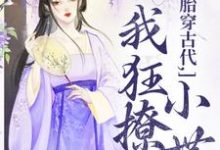 胎穿古代,我狂撩小世子最新章节,胎穿古代,我狂撩小世子免费阅读-推书机