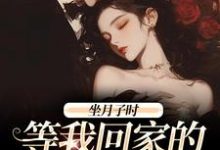 《坐月子时，等我回家的前夫疯了》小说江晚月傅寒川章节章节免费在线阅读-推书机