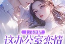 完结版《上司撩情，这办公室恋情我谈定了》章节阅读-推书机