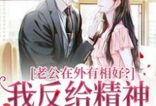 《老公在外有相好？我反给精神损失费》小说免费阅读完整版-推书机