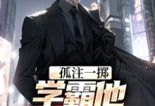 已完结小说《孤注一掷:学霸他官运亨通》在线章节阅读-推书机
