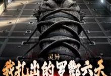 徐安完整版《灵异:我扎出的罗酆六天能安顿枉魂》小说免费阅读-推书机