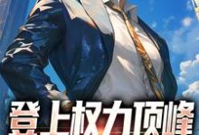 登上权力顶峰,从福利院开始小说阅读,登上权力顶峰,从福利院开始完结版-推书机