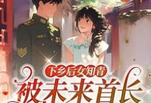 林夏陈海完整版小说《下乡后女知青被未来首长娇养了》免费阅读-推书机