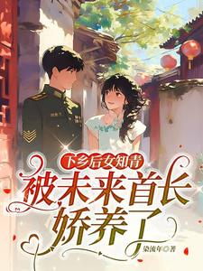 林夏陈海完整版小说《下乡后女知青被未来首长娇养了》免费阅读