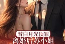 完整版的替白月光顶罪，离婚后苏小姐惊艳全球小说在哪里可以免费读到？-推书机