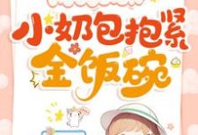 《爸爸嫁入豪门,小奶包抱紧金饭碗》完整版小说免费阅读-推书机