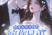 替身五年不续约,嫁你兄弟急什么小说有没有完整的免费版本在线阅读?-推书机