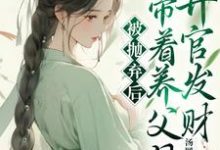 被抛弃后,我带着养父母升官发财宋褀安乔松小说在线章节免费阅读-推书机