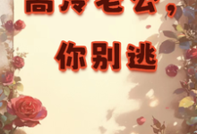 高冷老公,你别逃小说最新更新在哪里?免费在线看-推书机