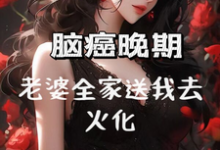免费看脑癌晚期,老婆全家送我去火化小说的网站有哪些?-推书机