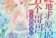 小说《叶小姐独美后,五个哥哥跪地求原谅》在线章节阅读-推书机