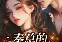 完整版小说《秦总的心尖人儿》免费阅读-推书机