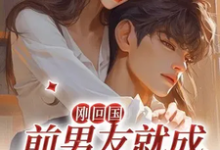 刚回国，前男友就成我嫌疑人？！小说全文哪里可以免费看？-推书机