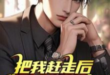 免费看把我赶走后,你们后悔什么?小说的网站有哪些?-推书机
