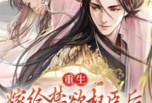 苏清妤沈之修小说免费阅读完整版-推书机