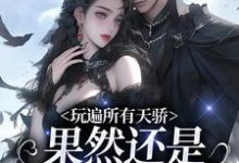 玩遍所有天骄，果然还是二爷比较香这本小说在哪里可以看？哪里有免费试读章节？-推书机