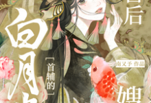 小说《冲喜后,我成了白月光首辅的嫂嫂》章节免费阅读-推书机
