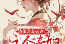 小说《渣爹宠妾灭妻?这毒妇我当定了!》完整版在线章节免费阅读-推书机
