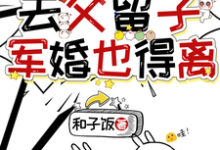 求穿七零去父留子,军婚也得离小说的全文免费阅读链接-推书机
