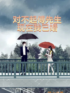 对不起，傅先生我现在已婚免费阅读，对不起，傅先生我现在已婚章节在线阅读