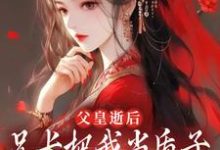 求父皇逝后,兄长把我当质子送去敌国小说的全文免费阅读链接-推书机
