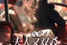 九爷，夫人又双叒死了一个哥哥章节免费在线阅读，虞烟霍九枭完结版-推书机