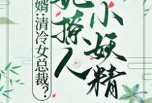 《赘婿:清冷女总裁?她撩人小妖精》全集免费在线阅读(林殇孟馨)-推书机