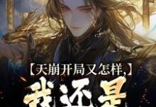 天崩开局又怎样,我还是大唐的王小说全文阅读需要付费吗?寻找免费资源-推书机