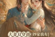 夫妻双穿越,抄家我有位面金手指木婉清华睿渊小说大结局免费试读-推书机