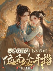 夫妻双穿越，抄家我有位面金手指木婉清华睿渊小说大结局免费试读