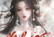 小哭包不追了,腹黑权臣悔断肠完整版小说,小哭包不追了,腹黑权臣悔断肠最新章节-推书机