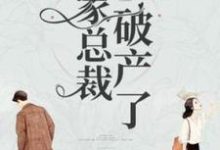 我家总裁破产了这本小说完结了吗?免费查看最新章节-推书机