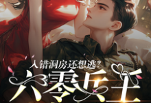 苏静怡萧锦程完整版《入错洞房还想逃?六零兵王被拿捏》小说免费阅读-推书机