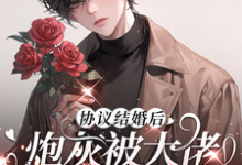 《协议结婚后炮灰被大佬宠上天了》全集免费在线阅读(安愉谢冕)-推书机
