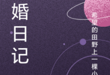 骗婚日记小说免费资源,骗婚日记在线阅读-推书机