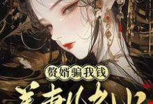 虞晚晚小说赘婿骗我钱养妻儿老小,弄死!章节免费阅读-推书机