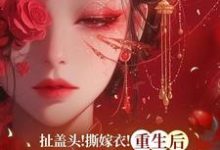 求扯盖头!撕嫁衣!重生后她不忍了小说的全文免费阅读链接-推书机