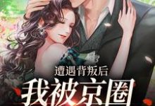 完整版《遭遇背叛后,我被京圈大佬捡回家》小说免费阅读-推书机