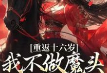 《重返十六岁，我不做魔头改修仙了》晏琅小说免费阅读完整版-推书机