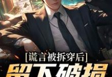 谎言被拆穿后，留下破损的婚姻这本小说在哪里可以看？哪里有免费试读章节？-推书机